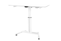 Mobile Height Adjustable Table